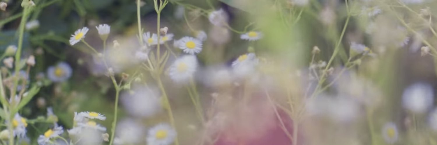 💟✵ Always by Baekhyun’s Side ᵔ.ᴥ ᵔ's banner
