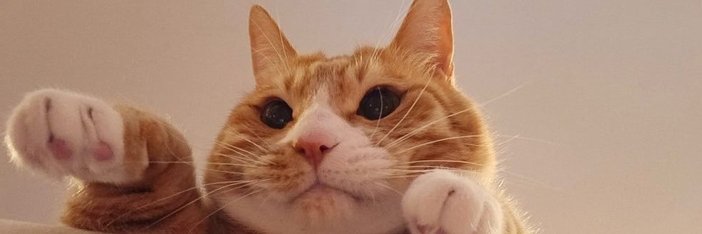Hana ༄ THIS? THAT?'s banner