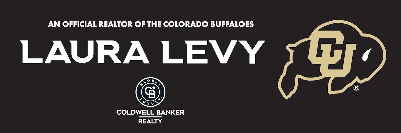 Laura Levy's banner
