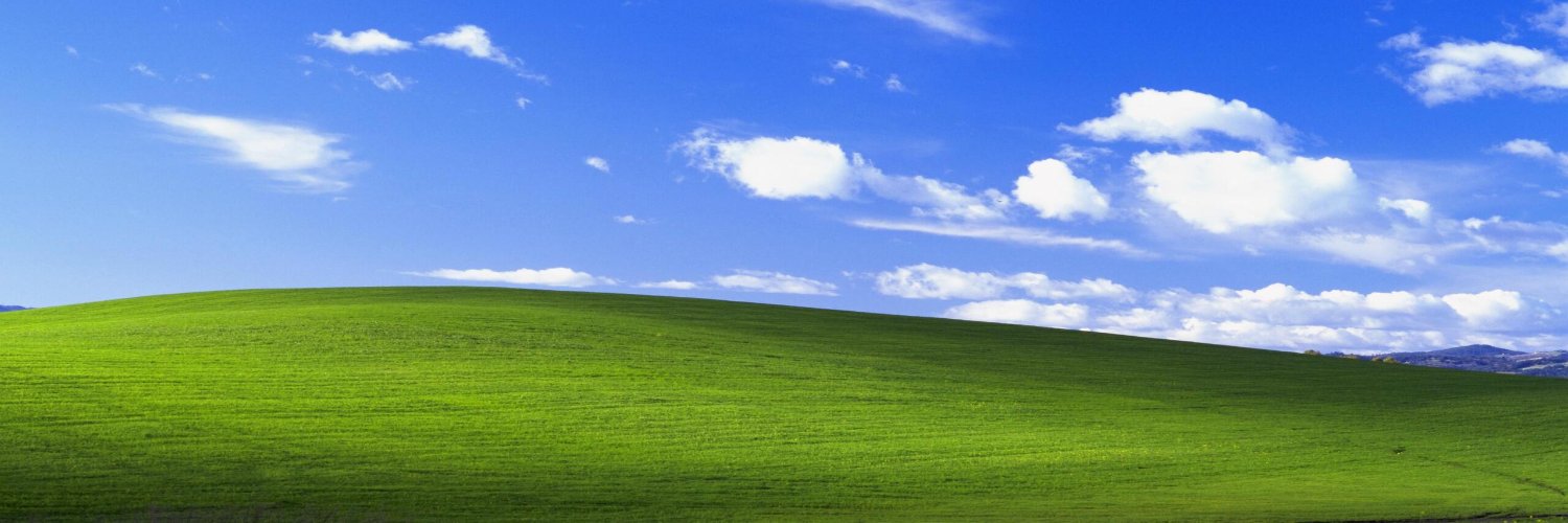 nik's banner