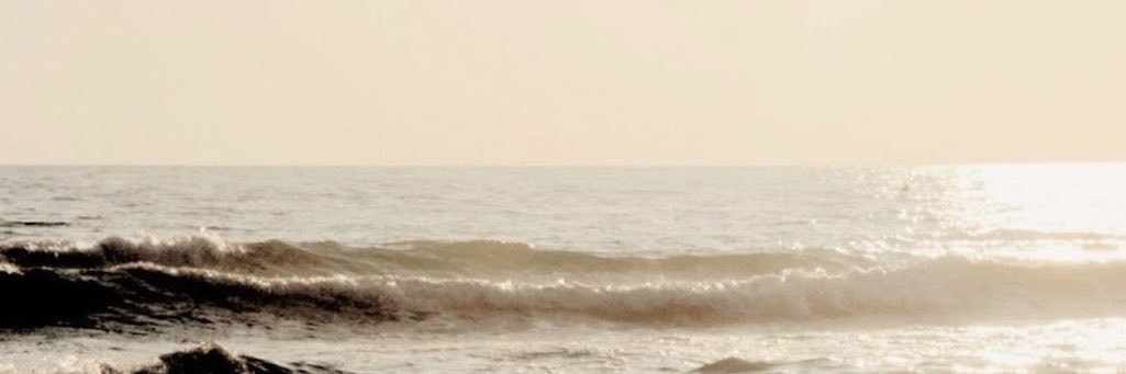 𝑛𝑖𝑙 ⭑𓂃's banner