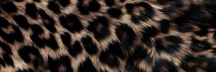 ananaslı yesil cay🐆💋🪩🪬's banner
