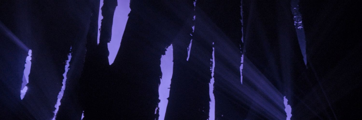 -ˋˏ lei ˎˊ-'s banner