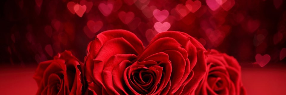 Samantha Johnson's banner