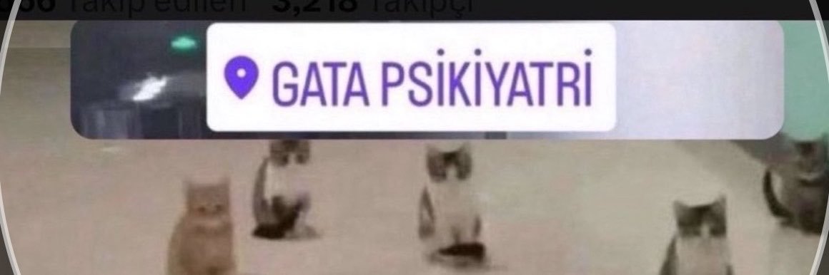 misay's banner