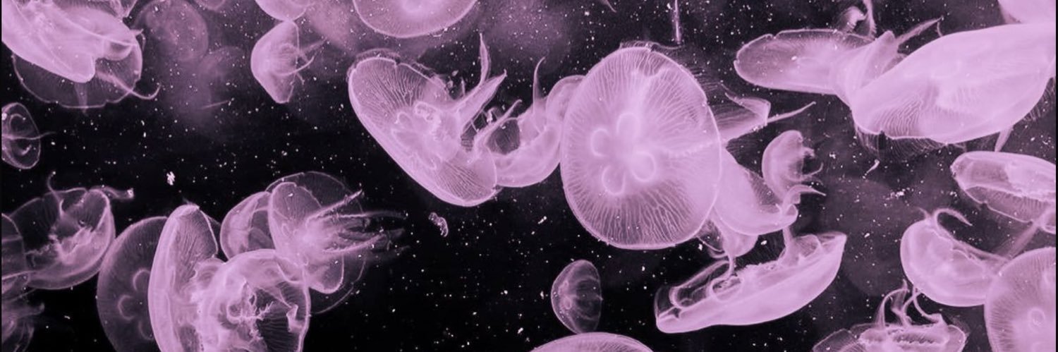 ☆𝐄𝐧𝐳𝐨☆'s banner