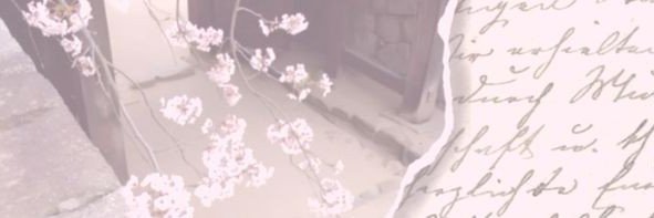 rei𓍼's banner