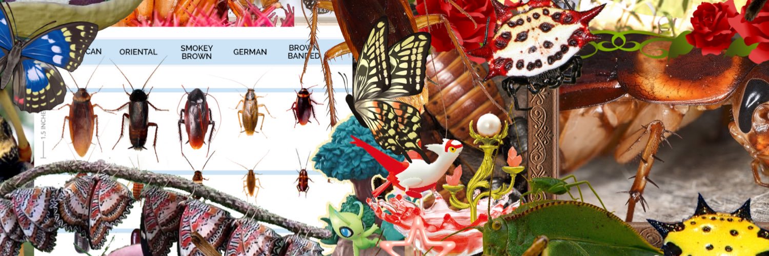 marcelFly 🪰🏳️‍⚧️ comms open's banner