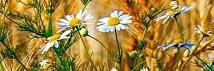 Игорь's banner