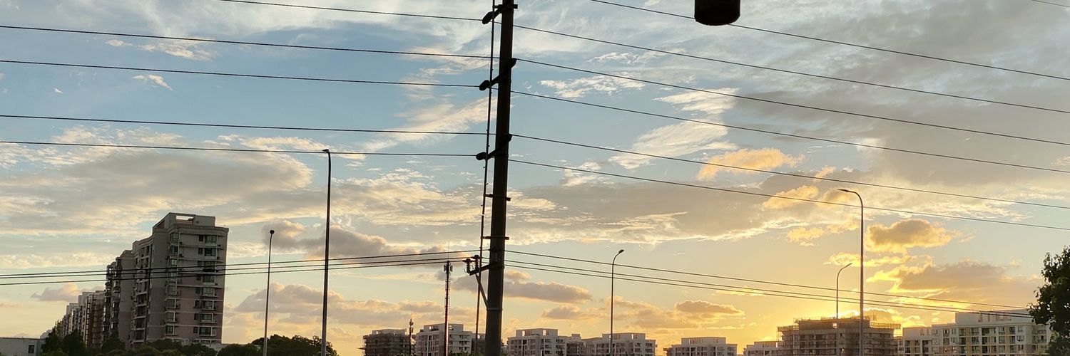 狸花's banner