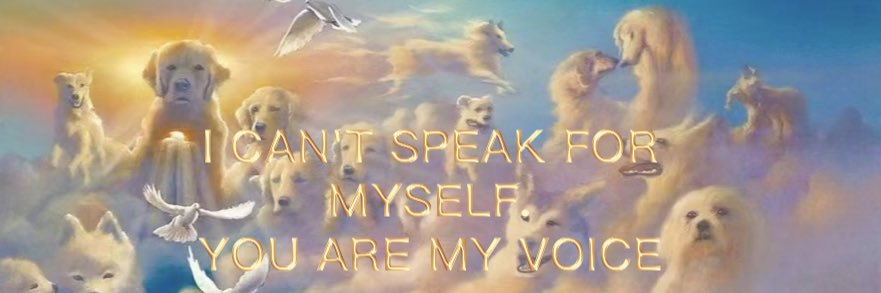 CNAnimalRightsAlert's banner