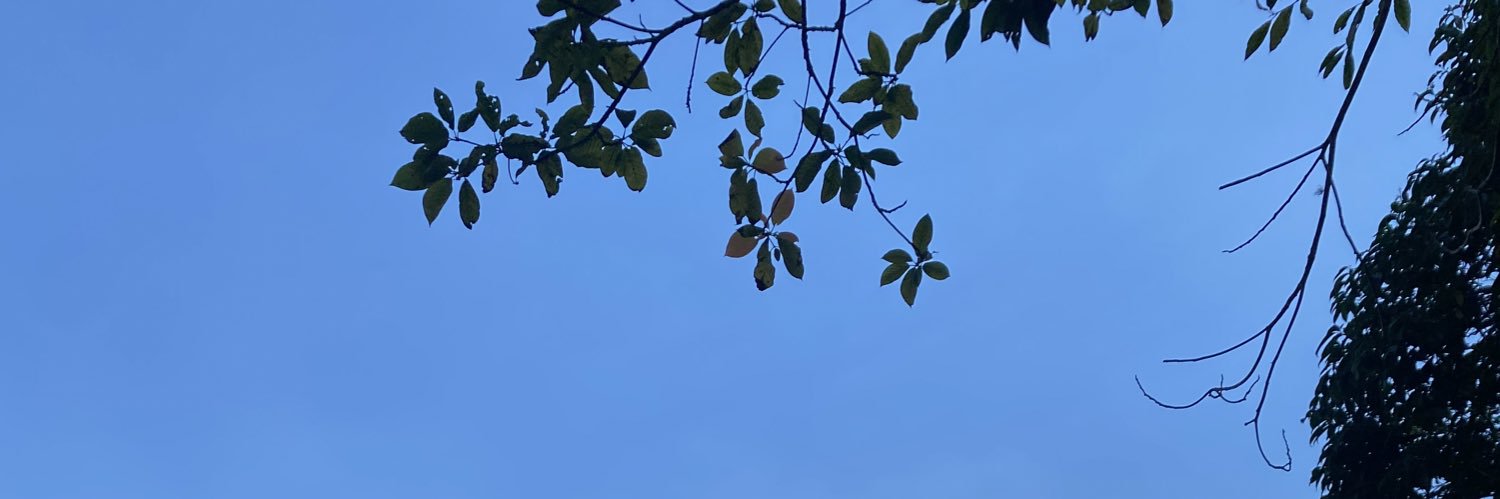 Borokokox's banner