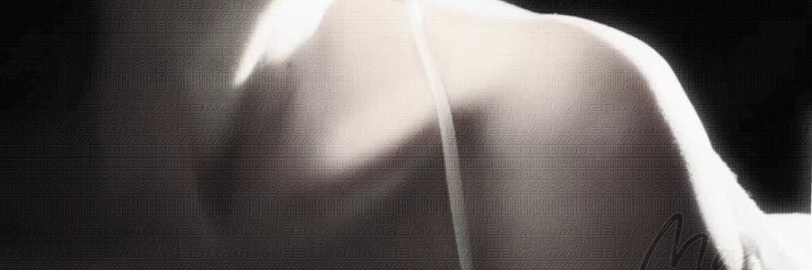 恩赐's banner