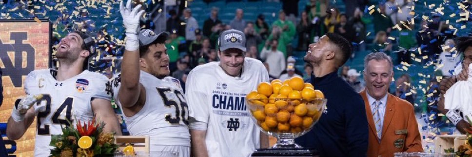 The Irish Network's banner