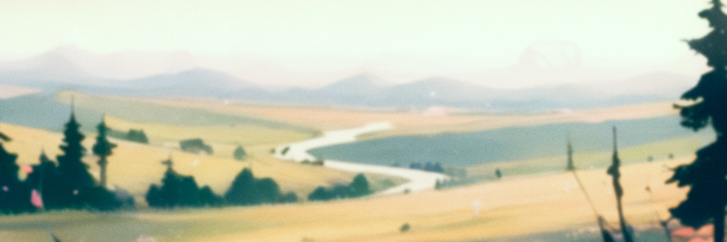Tavily's banner