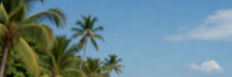 Aura's banner