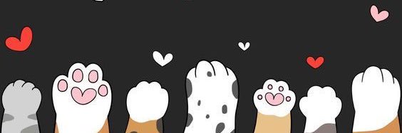 SoyDairi's banner