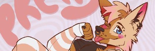 SARCO!'s banner