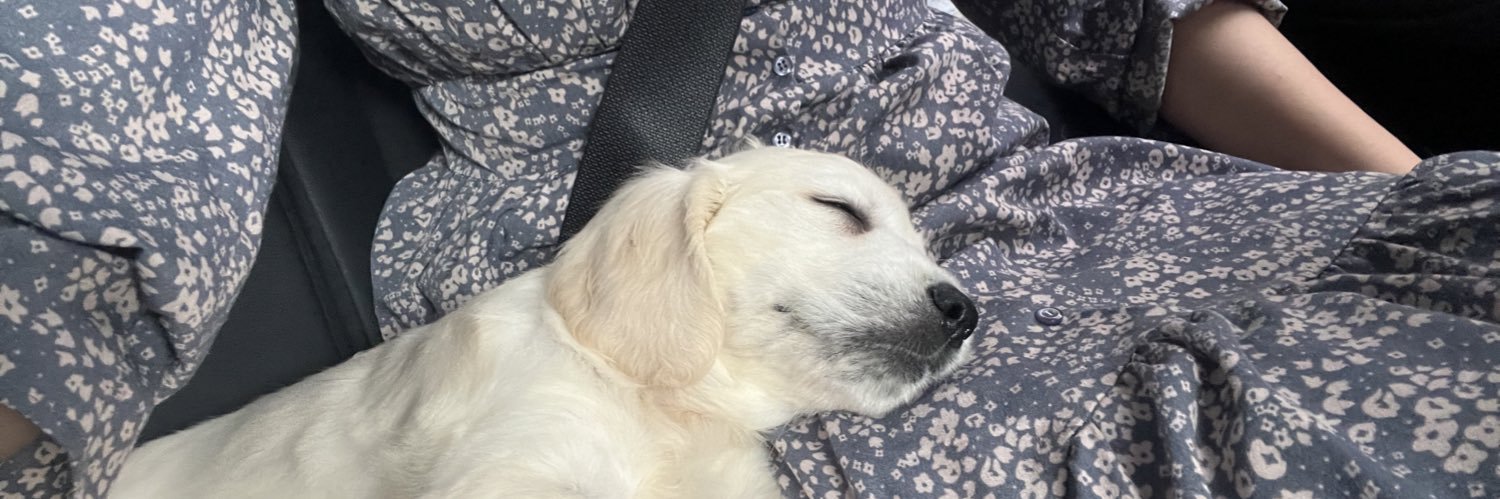 英ゴル．ブラン🐶💚's banner