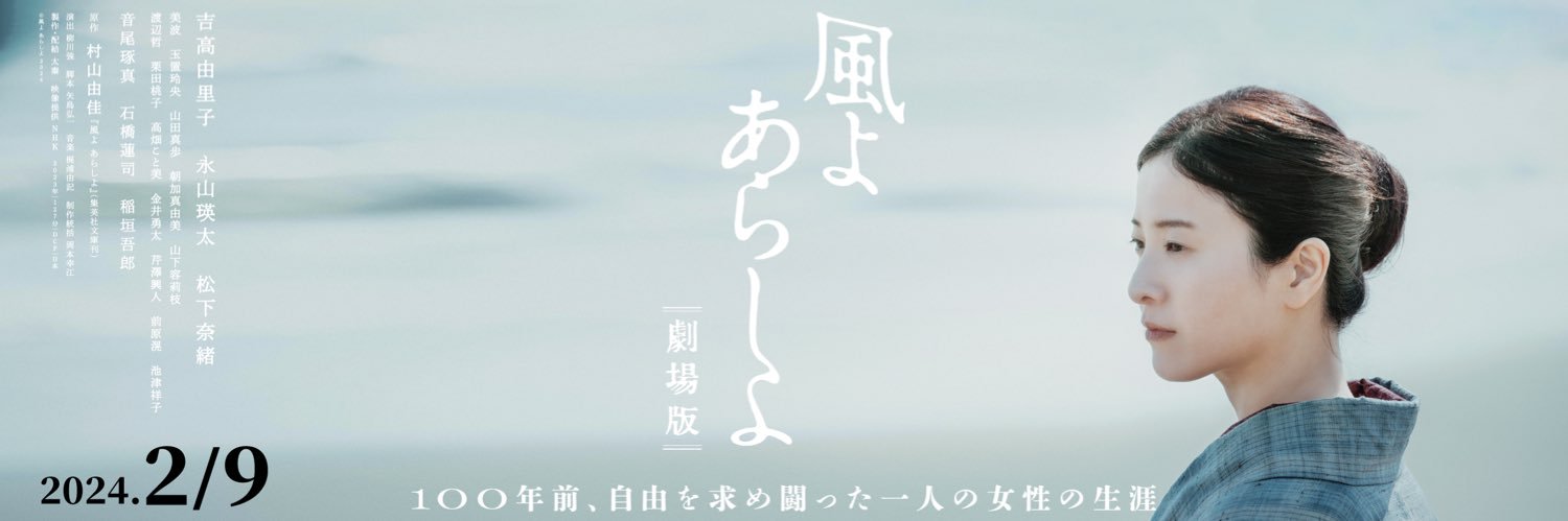 風よ あらしよ 劇場版's banner