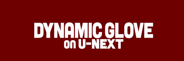 DYNAMIC GLOVE 公式's banner