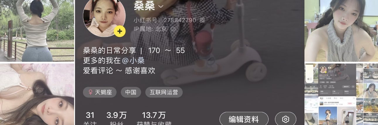 桑桑(小某书博主)'s banner