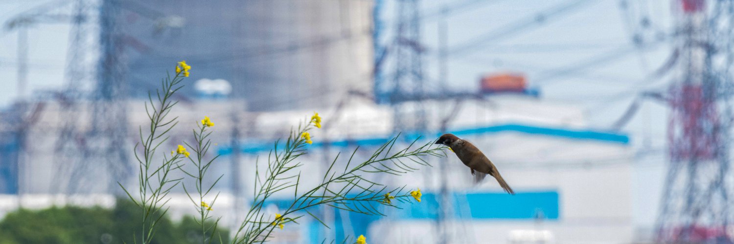 CNNC's banner