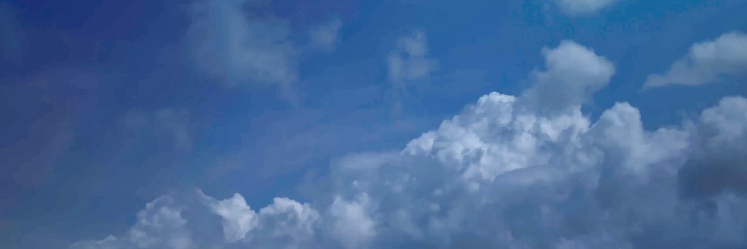 Aogumo's banner