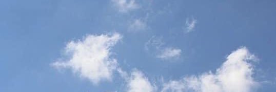 น้อง 🐱's banner