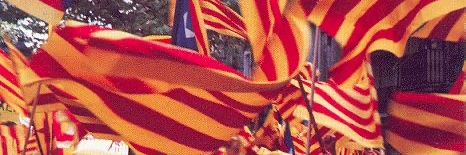 tina's banner
