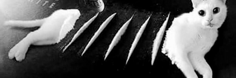 cherry | drugtwt's banner