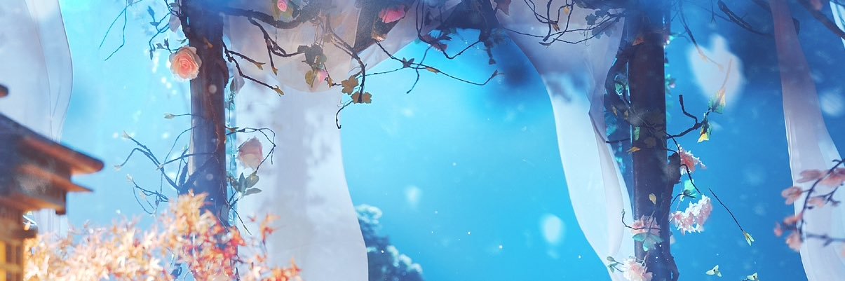 𝐿.'s banner