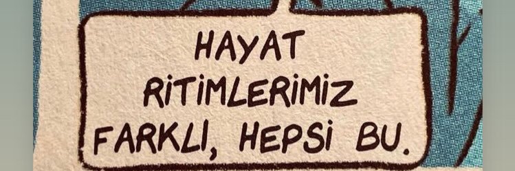 Dila Çakır's banner