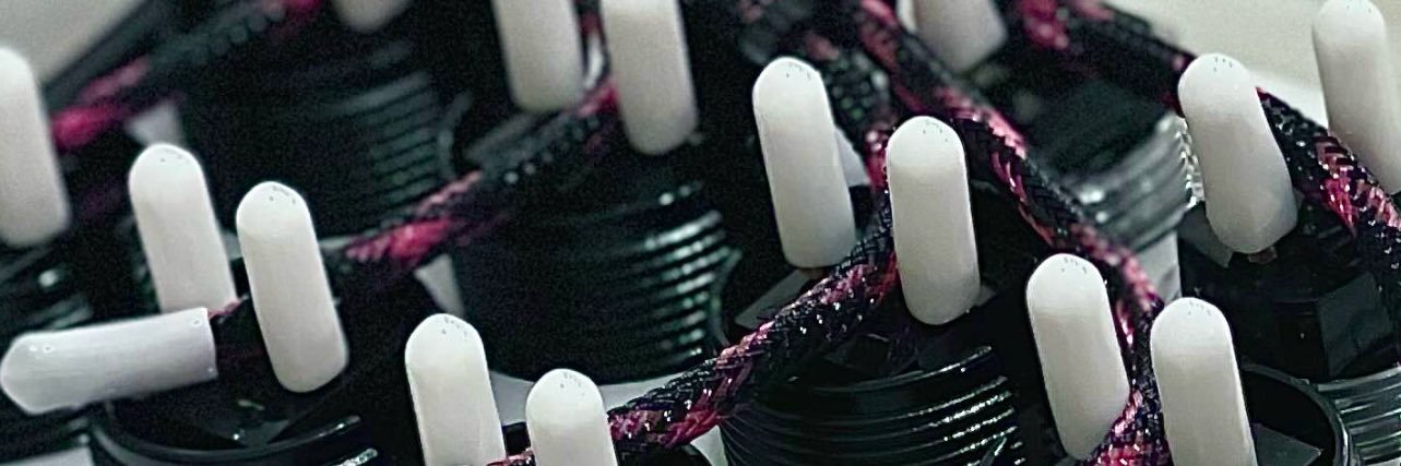 Demon World's banner