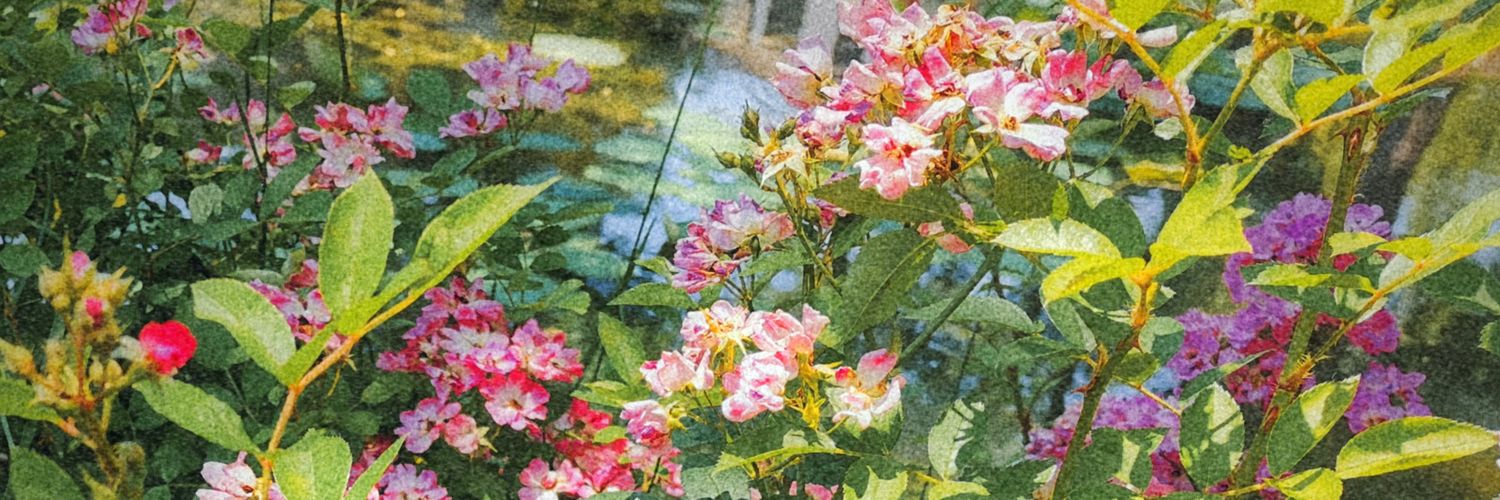 悲伤破忒头's banner