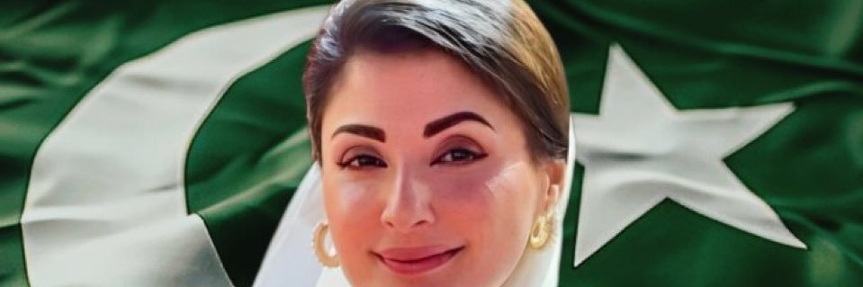 IMRAN BAJWA PML Nawaz 🐅's banner