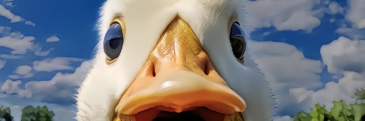 战哥S's banner