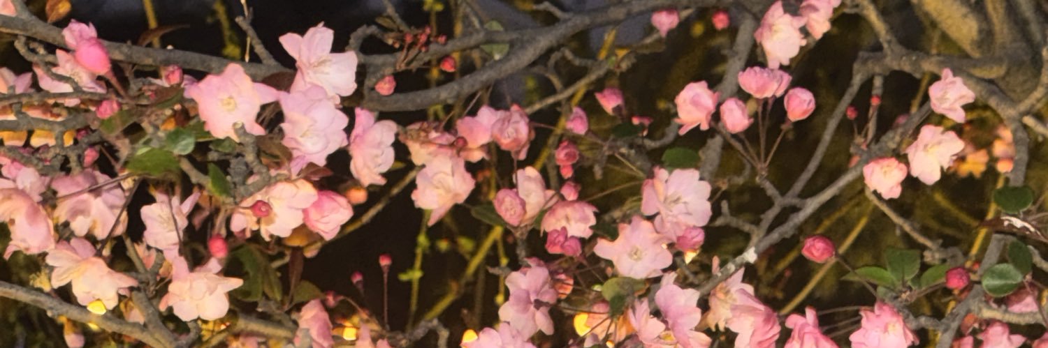 懒大王®'s banner