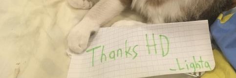 Lighta's banner