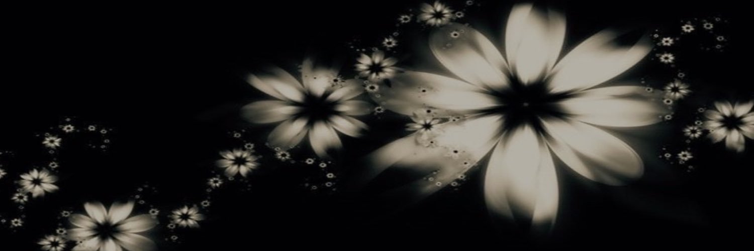 roro's banner