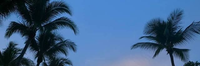 GayThailand's banner