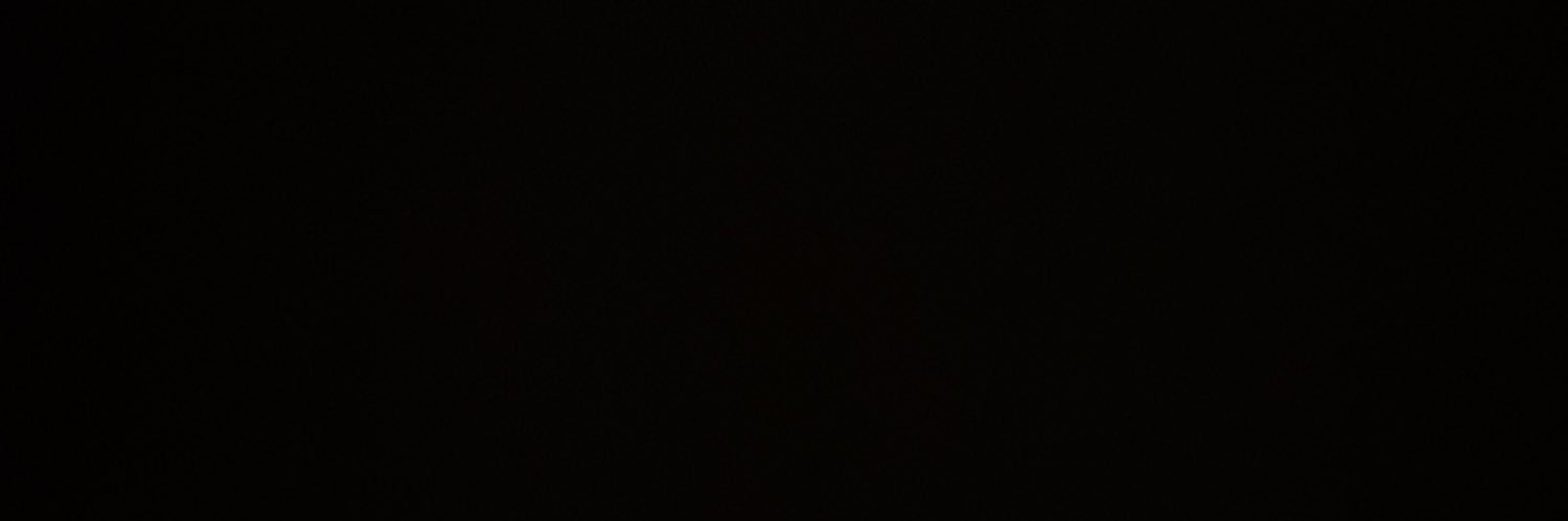 Reggie Redbird's banner