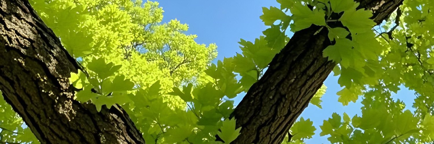 astri🍃's banner