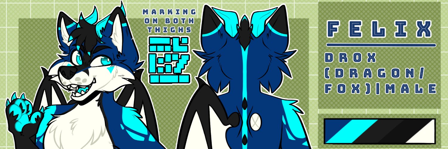 FelixTheDrox's banner