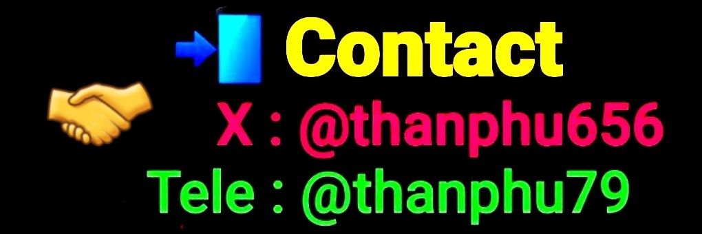 🌷𝐏𝗵𝘂 𝗕𝗲𝘀𝘁's banner