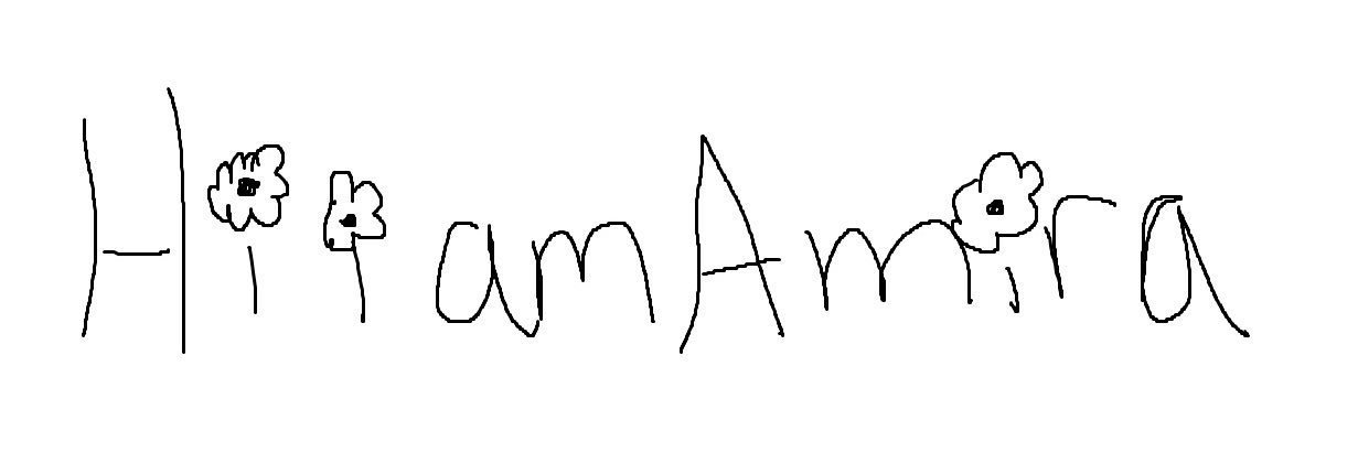 amira's banner