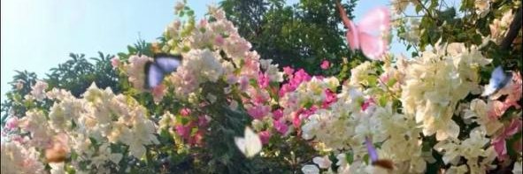 老师的日常vlog's banner