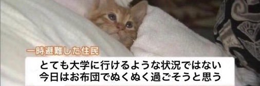 たいやきの息子's banner