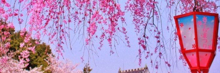 Long's banner