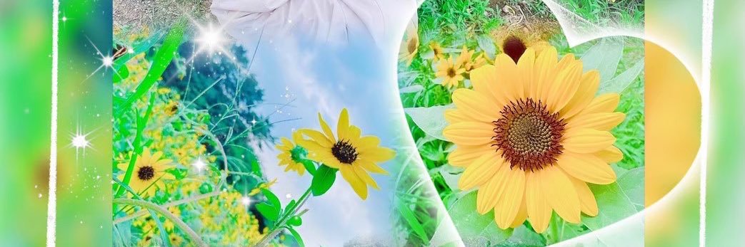🐇 ℳ𝑒𝑖 💭's banner
